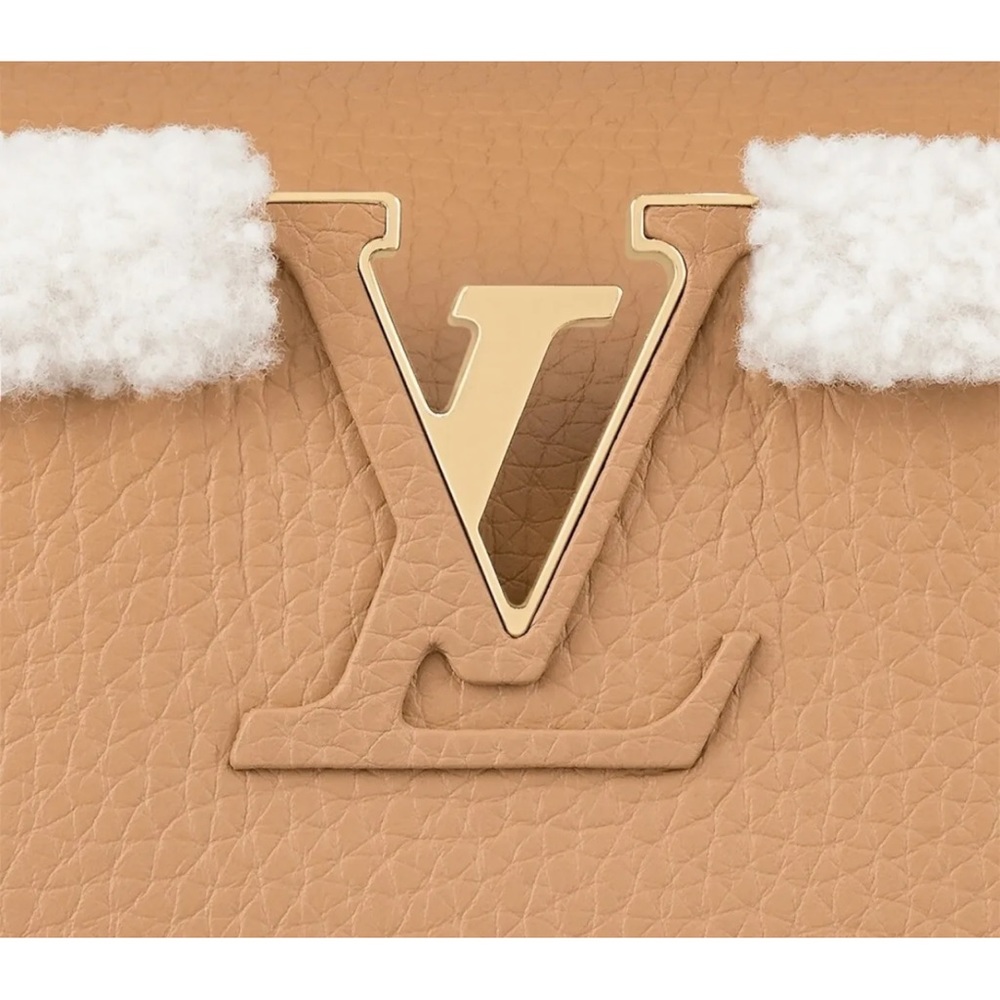 Limited Edition Louis Vuitton Capucines BB Bag - Picture 5 of 10